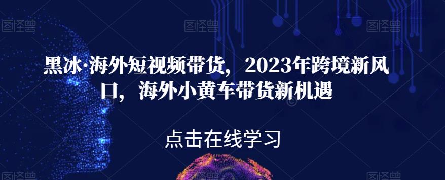 黑冰·海外短视频带货，2023年跨境新风口，海外小黄车带货新机遇一点库资源-致力于各大收费VIP教程和网赚项目分享一点库资源