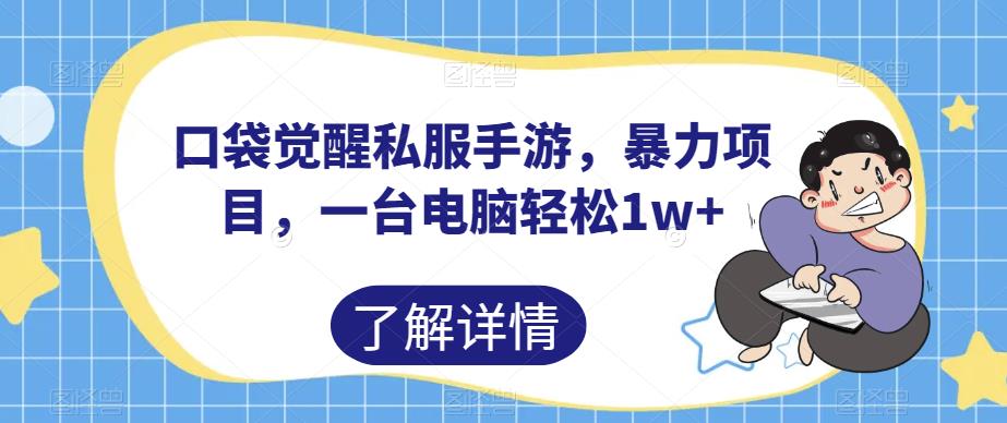 口袋觉醒私服手游，暴力项目，一台电脑轻松1w+【揭秘】一点库资源-致力于各大收费VIP教程和网赚项目分享一点库资源