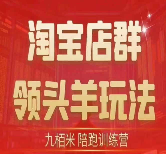 九栢米-淘宝店群领头羊玩法，教你整个淘宝店群领头羊玩法以及精细化 终极蓝海 尾销等内容一点库资源-致力于各大收费VIP教程和网赚项目分享一点库资源